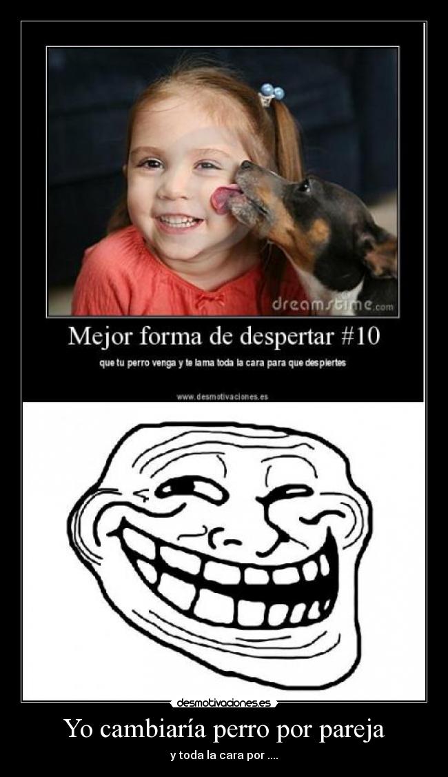 Yo cambiaría perro por pareja - y toda la cara por ....