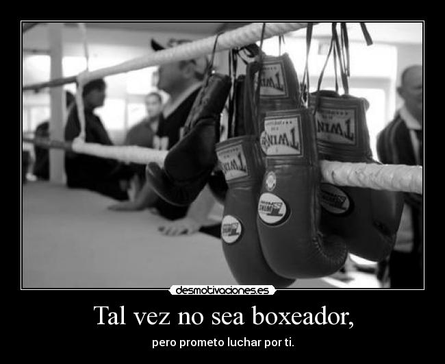 Tal vez no sea boxeador, - pero prometo luchar por ti.