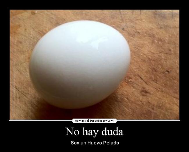 No hay duda - Soy un Huevo Pelado