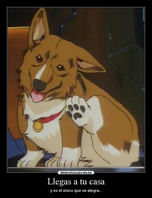 Llegas a tu casa -