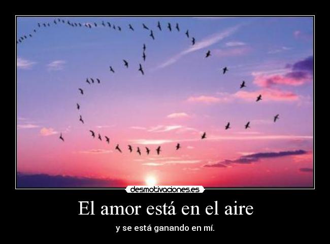 El amor está en el aire - 