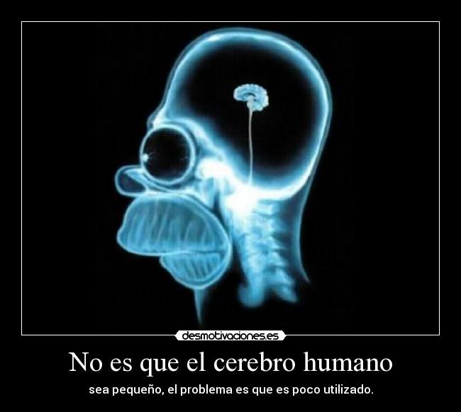 No es que el cerebro humano -