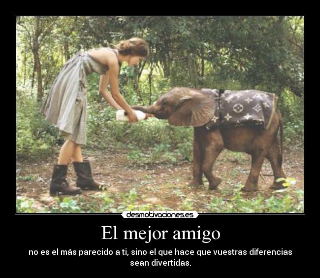 El mejor amigo - 