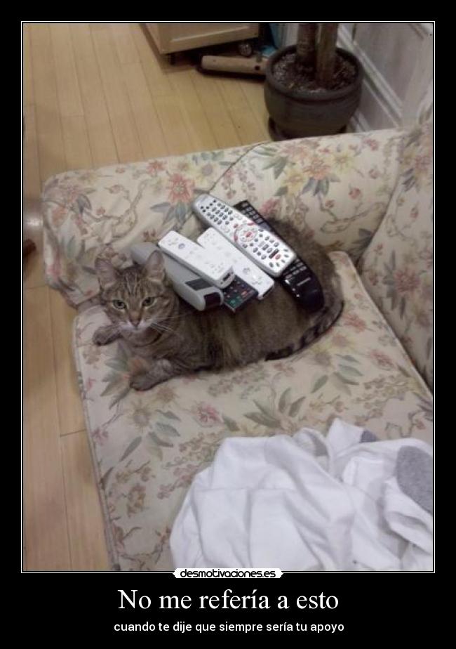 No me refería a esto - cuando te dije que siempre sería tu apoyo