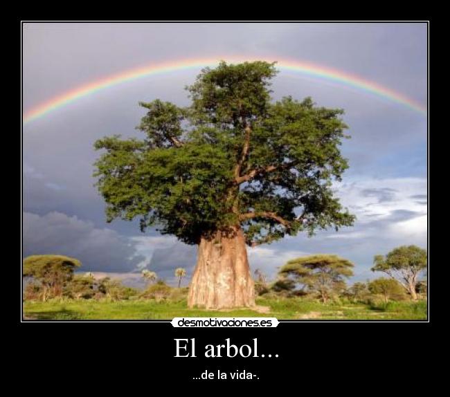El arbol... -