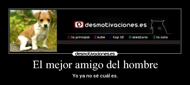 El mejor amigo del hombre -