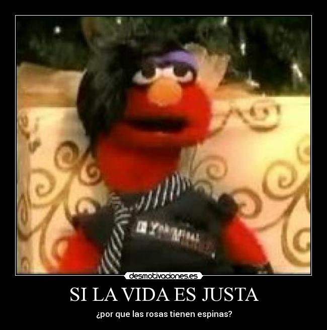 SI LA VIDA ES JUSTA - ¿por que las rosas tienen espinas?