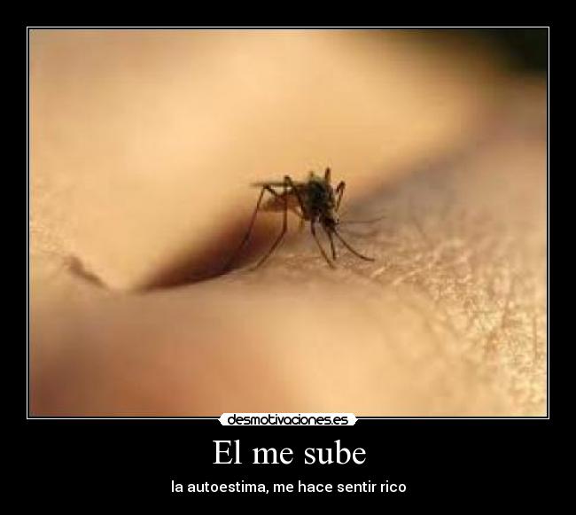 El me sube - 