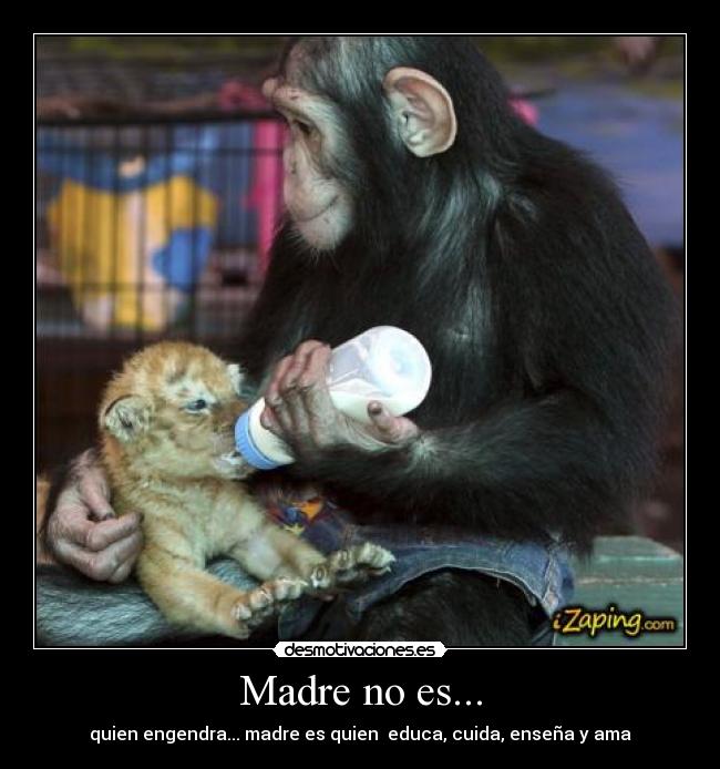 Madre no es... -