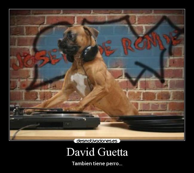 David Guetta - 