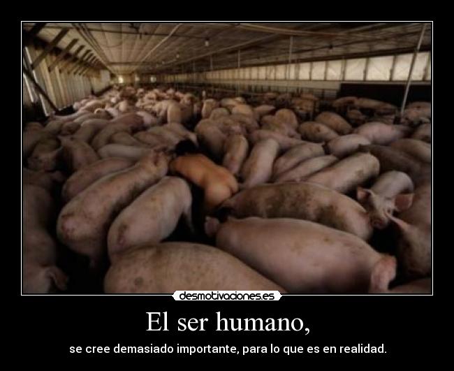El ser humano, - 
