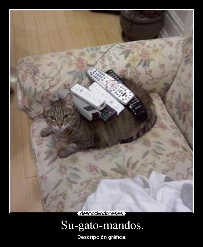 carteles sujetamando xdd desmotivaciones