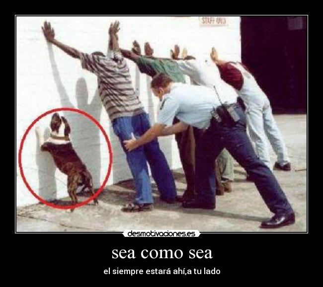 sea como sea - 