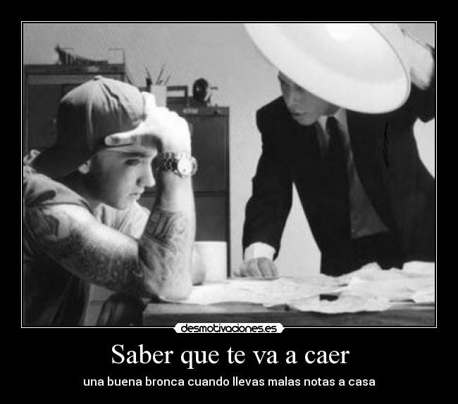 carteles eminem rules intruders fedeminemmola 23tigres putostyle desmotivaciones