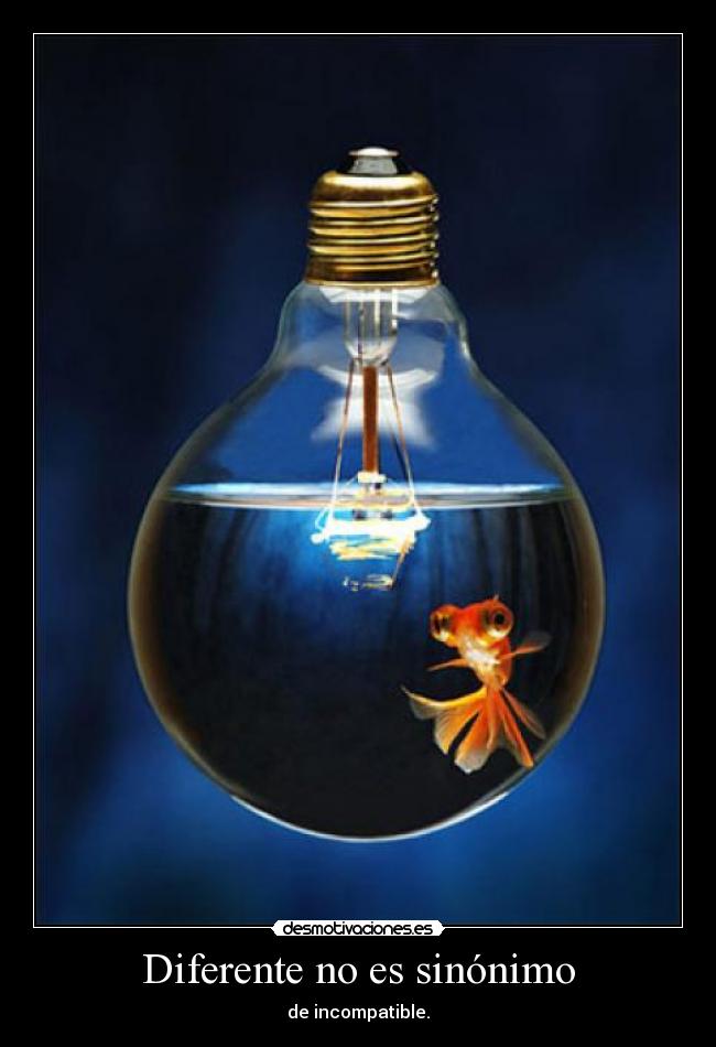 Diferente no es sinónimo -
