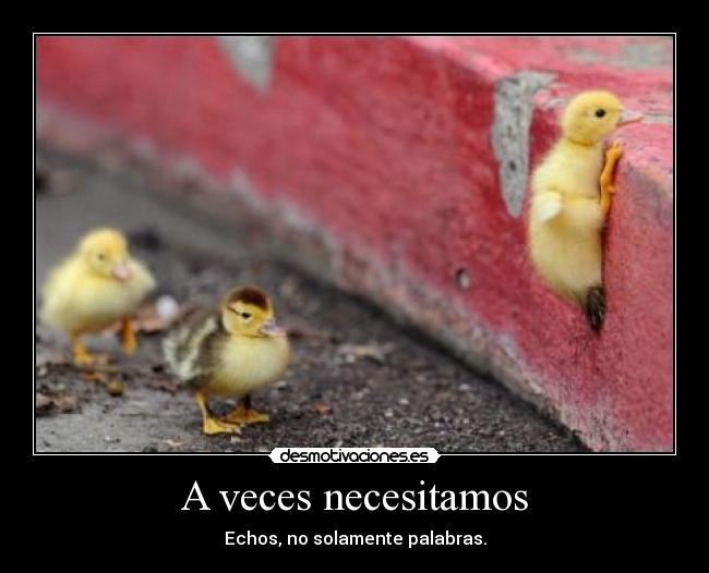 A veces necesitamos - 