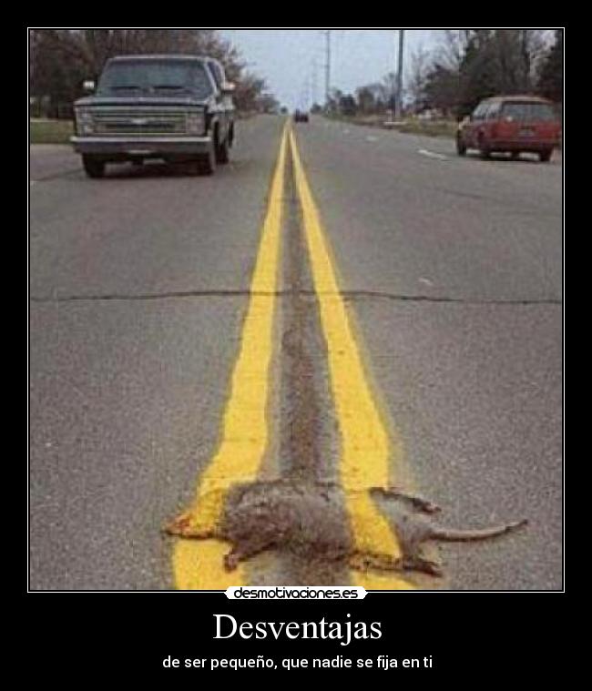 Desventajas - de ser pequeño, que nadie se fija en ti