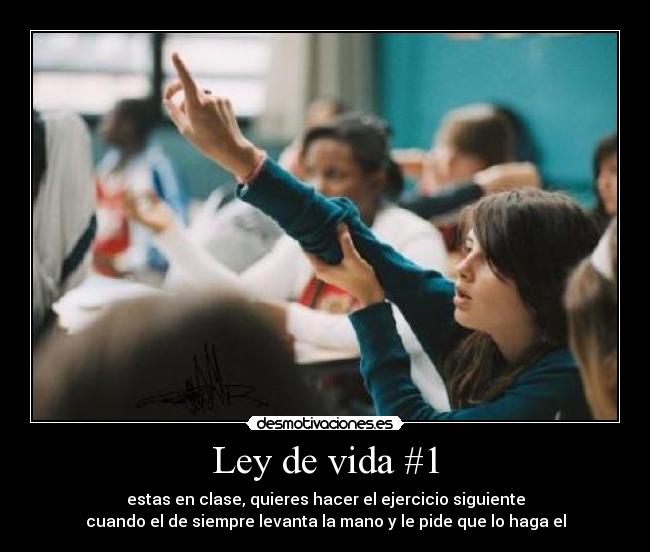 Ley de vida #1 - 