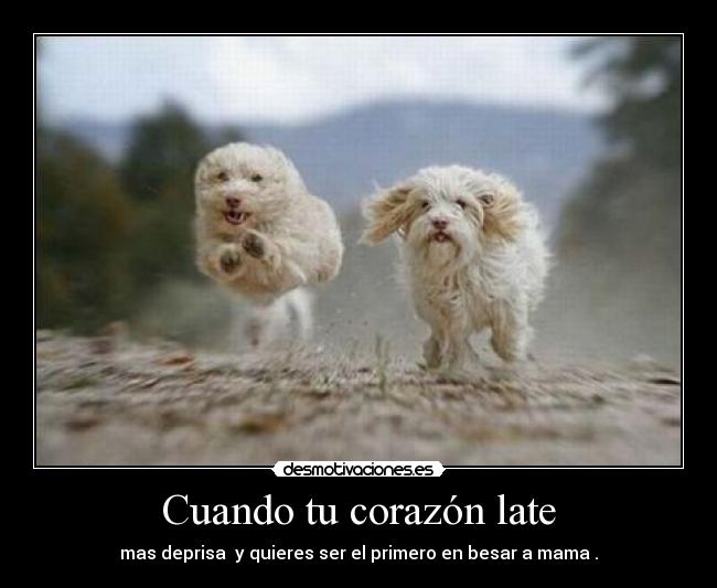 Cuando tu corazón late - mas deprisa y quieres ser el primero en besar a mama .