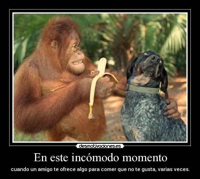 En este incómodo momento -