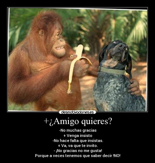 +¿Amigo quieres? - -No muchas gracias
+ Venga insisto
-No hace falta que insistas.
+ Va, va que te invito.
- ¡No gracias no me gusta!
Porque a veces tenemos que saber decir !NO!