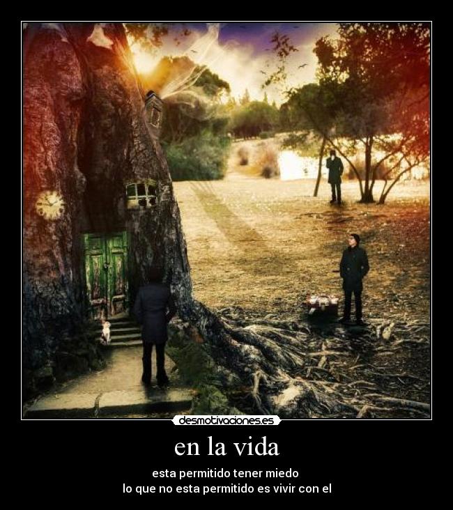 en la vida - esta permitido tener miedo 
lo que no esta permitido es vivir con el