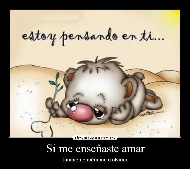 Si me enseñaste amar -