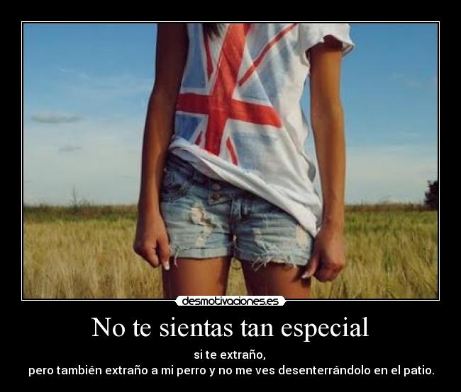 carteles senor las desmotivaciones desmotivaciones