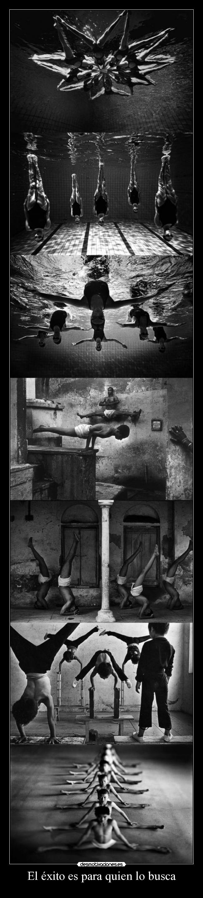 El éxito es para quien lo busca - 