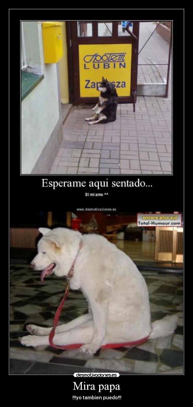 Mira papa - !!!yo tambien puedo!!!