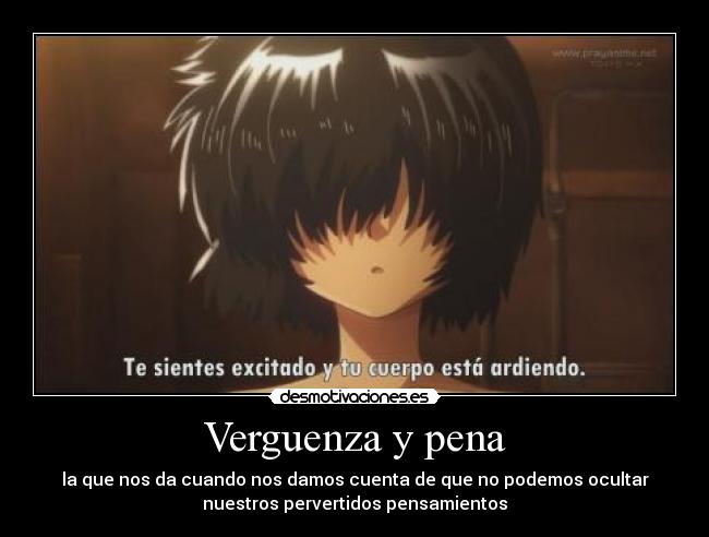 carteles nazo kanojo pena verguenza maxima desmotivaciones