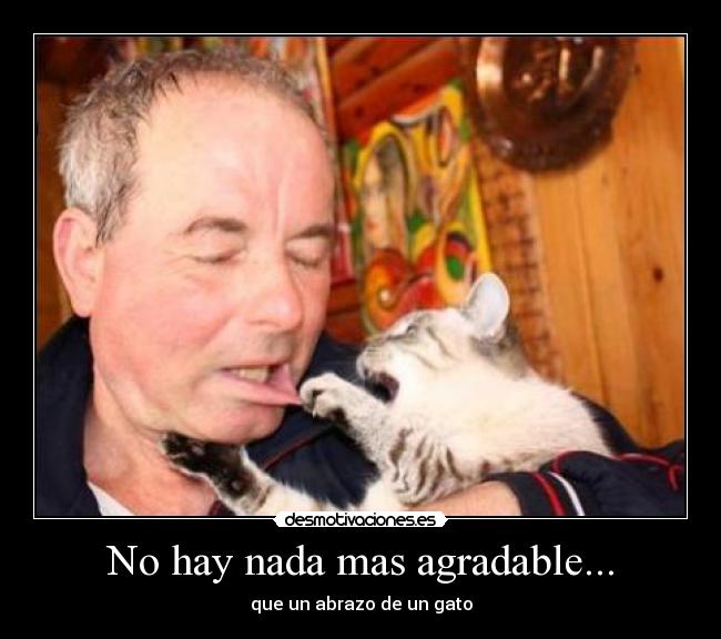 carteles zoak340 desmotivaciones