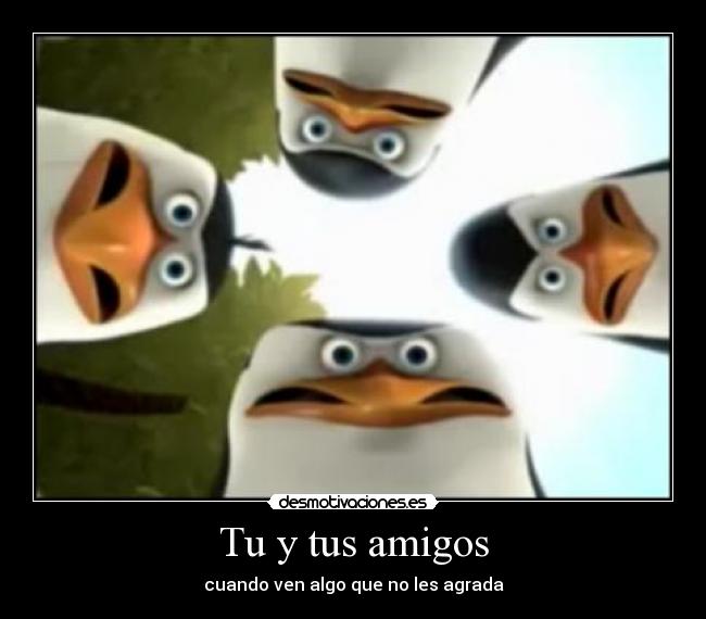 Tu y tus amigos -