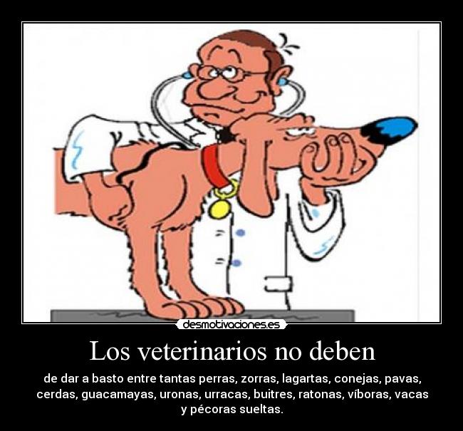 Los veterinarios no deben -