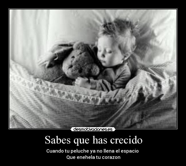 carteles  desmotivaciones