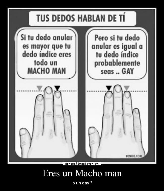 Eres un Macho man - o un gay ?