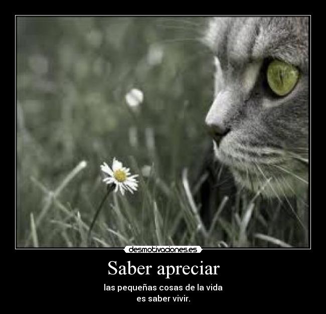 Saber apreciar - las pequeñas cosas de la vida
es saber vivir.