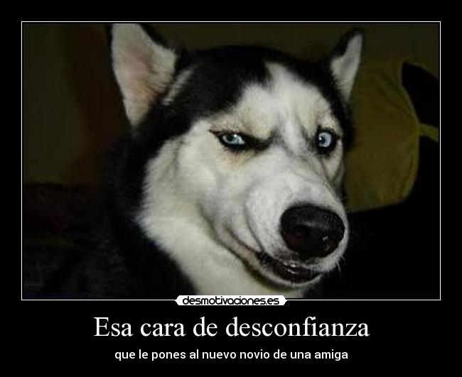 Esa cara de desconfianza - que le pones al nuevo novio de una amiga