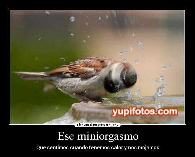 Ese miniorgasmo - 