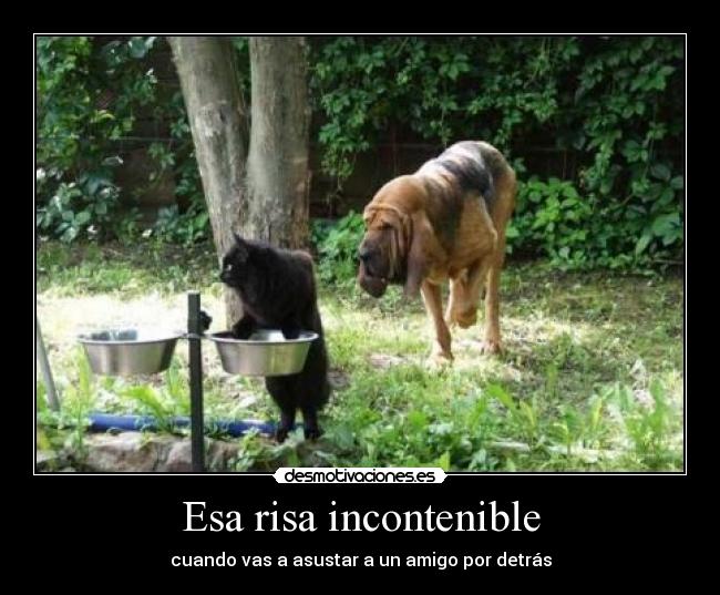 Esa risa incontenible - 