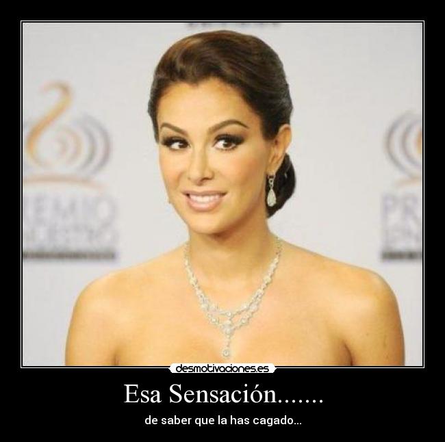 Esa Sensación....... - de saber que la has cagado...