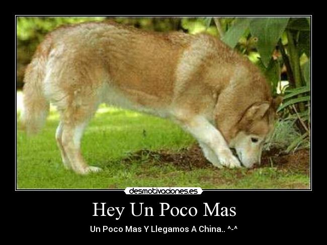 Hey Un Poco Mas - Un Poco Mas Y Llegamos A China.. ^-^