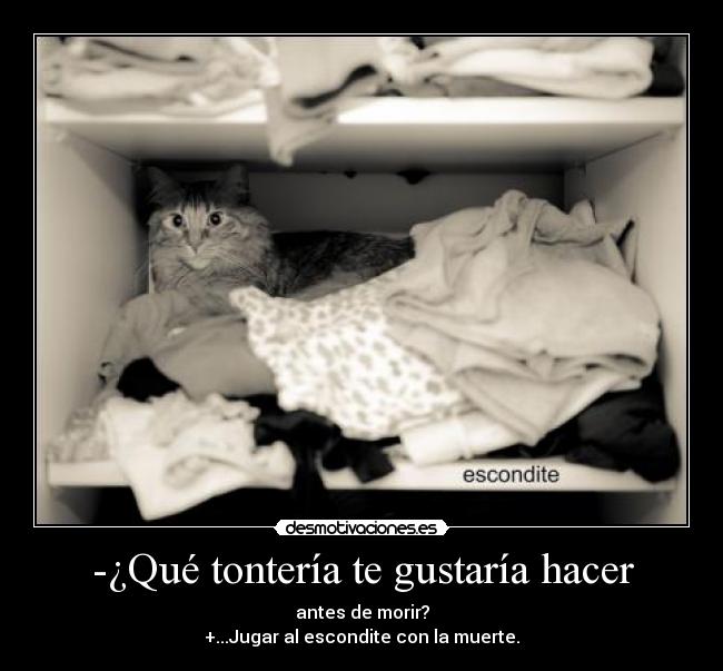 -¿Qué tontería te gustaría hacer - antes de morir?
+...Jugar al escondite con la muerte.