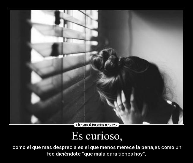 Es curioso, - como el que mas desprecia es el que menos merece la pena,es como un
feo diciéndote que mala cara tienes hoy.