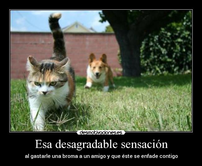 Esa desagradable sensación -