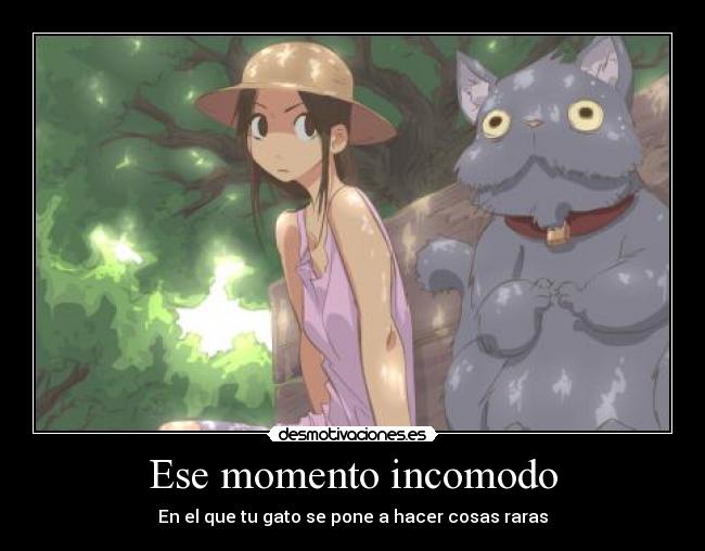Ese momento incomodo - En el que tu gato se pone a hacer cosas raras