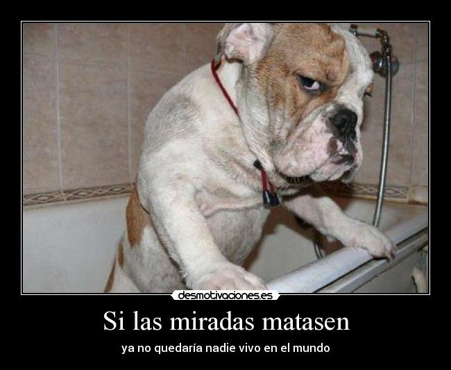 carteles jaja las seis 666 mente busca cuerpo cuerpo cogo guitarra casa sale esto del tiro desmotivaciones