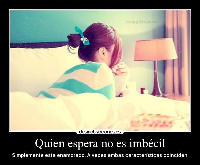 carteles desamor desmotivaciones