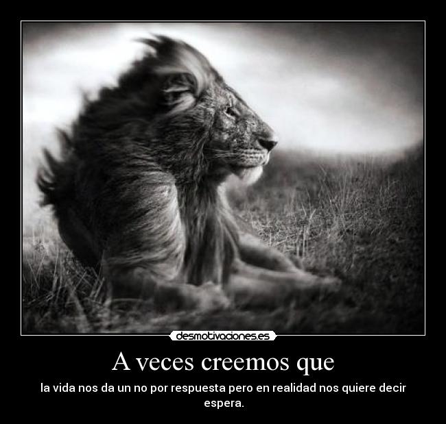 A veces creemos que - la vida nos da un no por respuesta pero en realidad nos quiere decir espera.