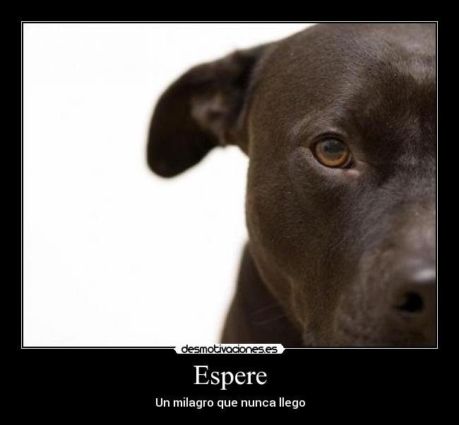 Espere - Un milagro que nunca llego